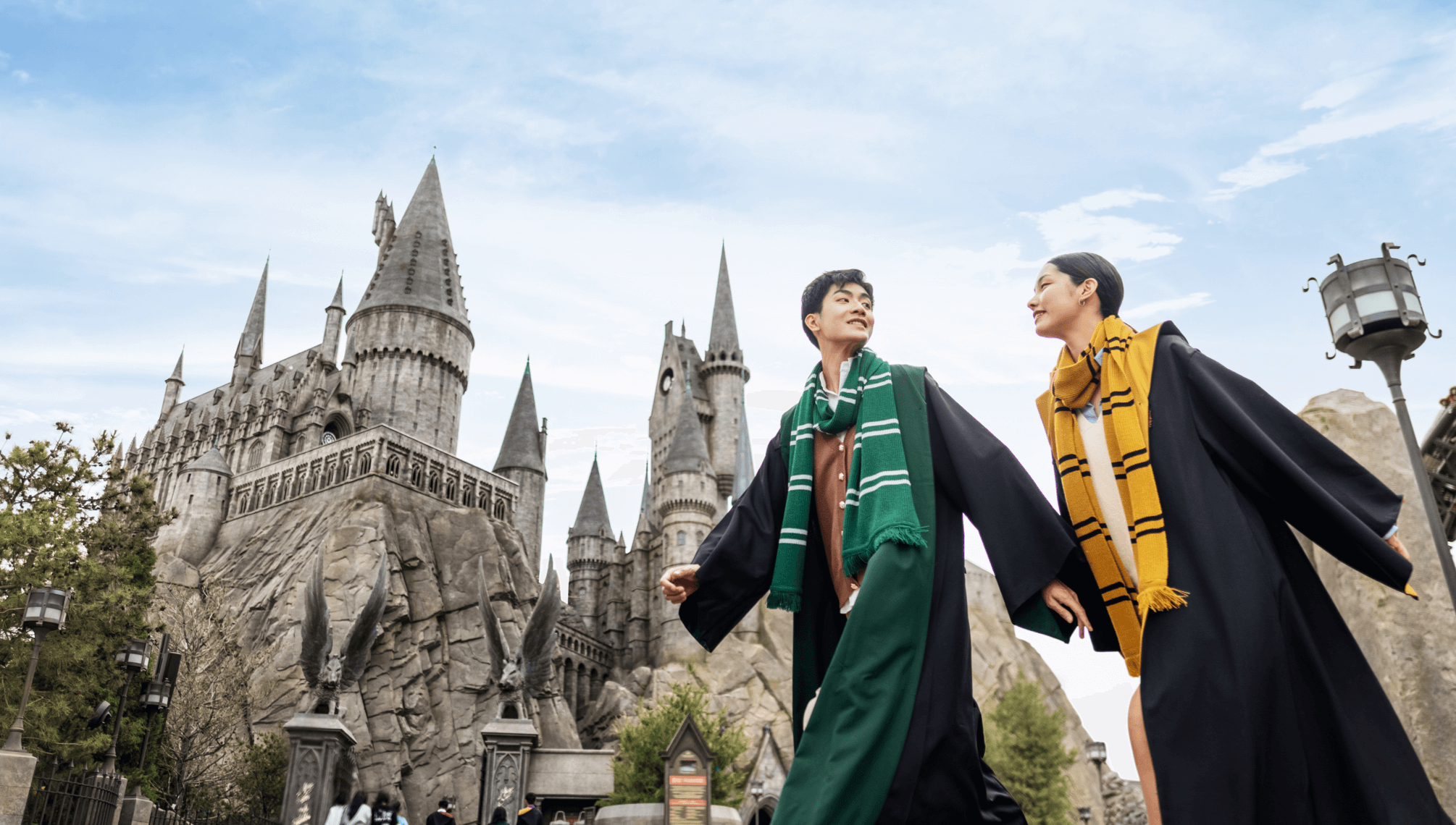 The Wizarding World of Harry Potter